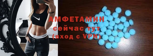 сатива Краснослободск