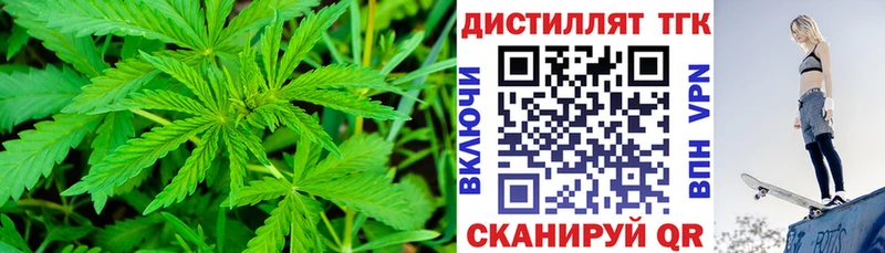 Дистиллят ТГК THC oil Купить закладки Мариинский Посад